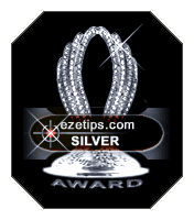 EzeTip Silver Award for Service