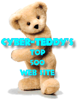 CyberTeddy People's Choice Award